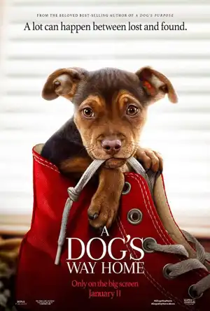 A Dogs Way Home (2019)